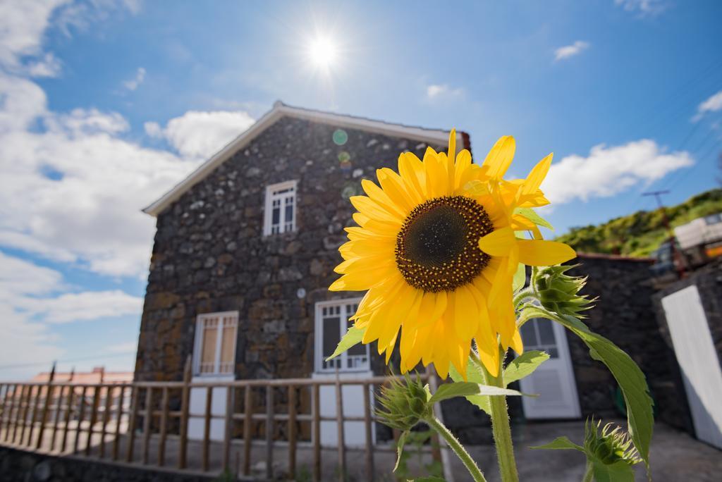 Villa Stone Dreams - Pedra Da Atafona Calheta de Nesquim Exterior foto